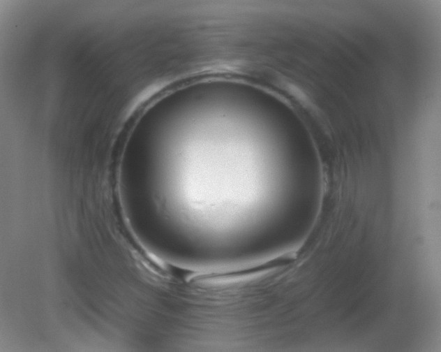 X0000082991308200702011418