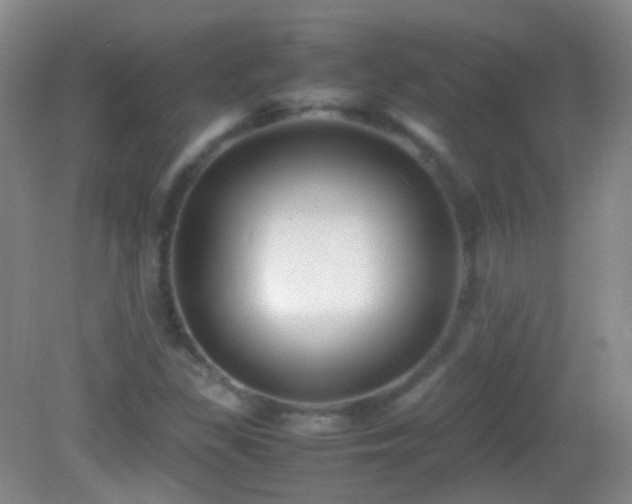 X0000082991309200702011418