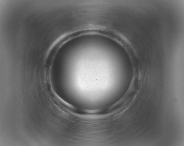 X0000082991310200702011419