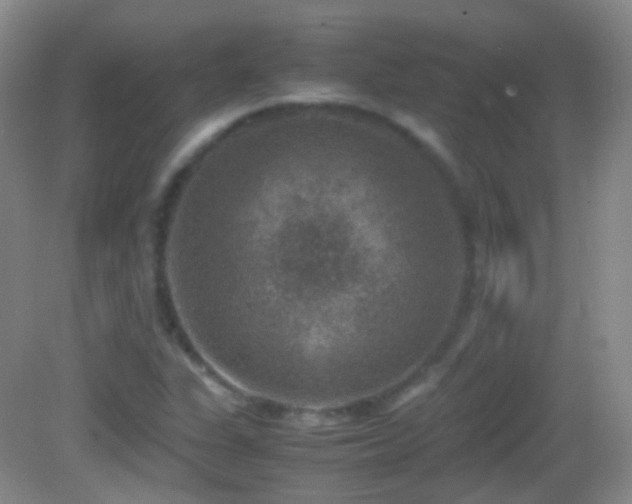 X0000082991311200702011419