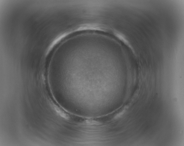 X0000082991312200702011419