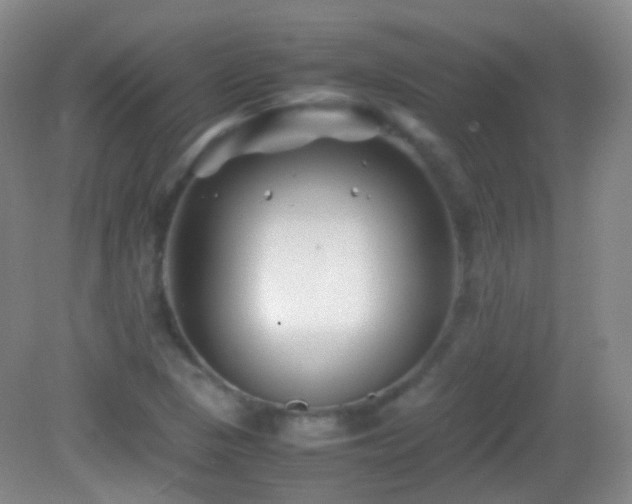 X0000082991313200702011419