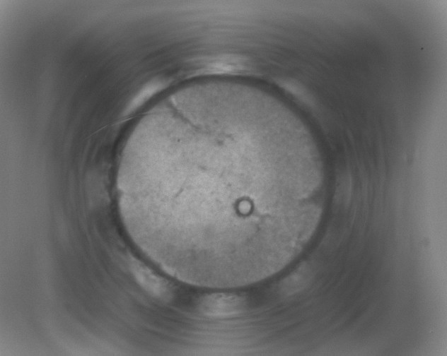 X0000082991314200702011419