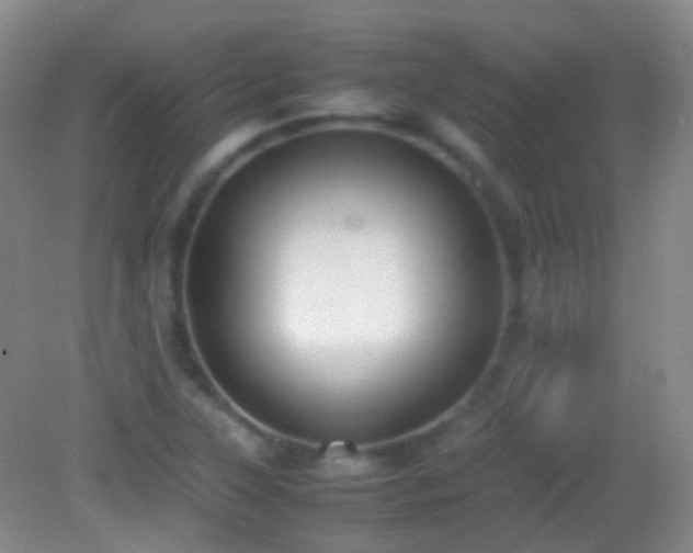 X0000082991315200702011419