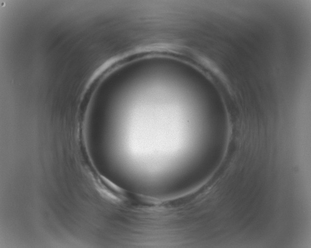 X0000082991316200702011419