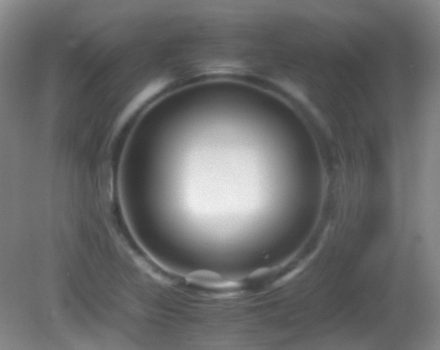 X0000082991317200702011419