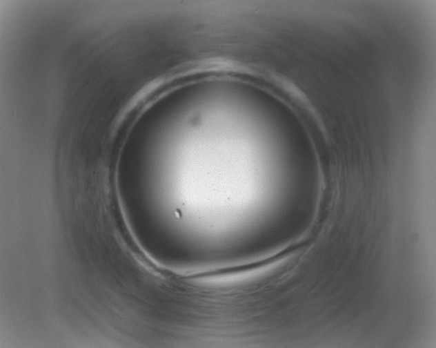 X0000082991318200702011419