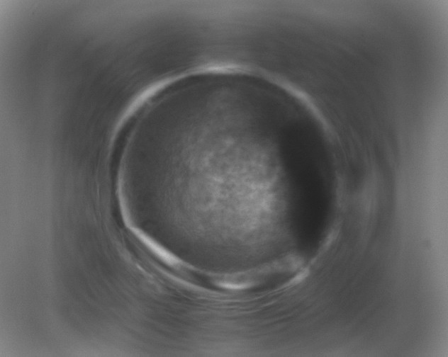 X0000082991319200702011419