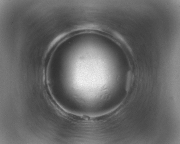 X0000082991320200702011419