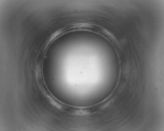 X0000082991321200702011419