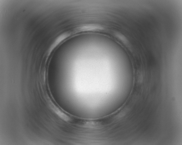 X0000082991322200702011419