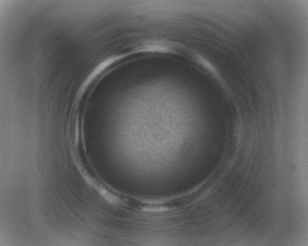 X0000082991323200702011419