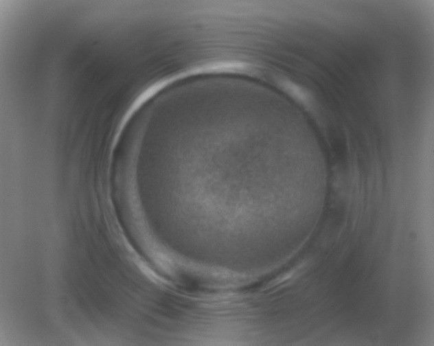 X0000082991324200702011419