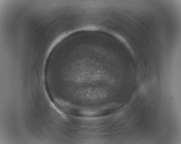 X0000082991327200702011419