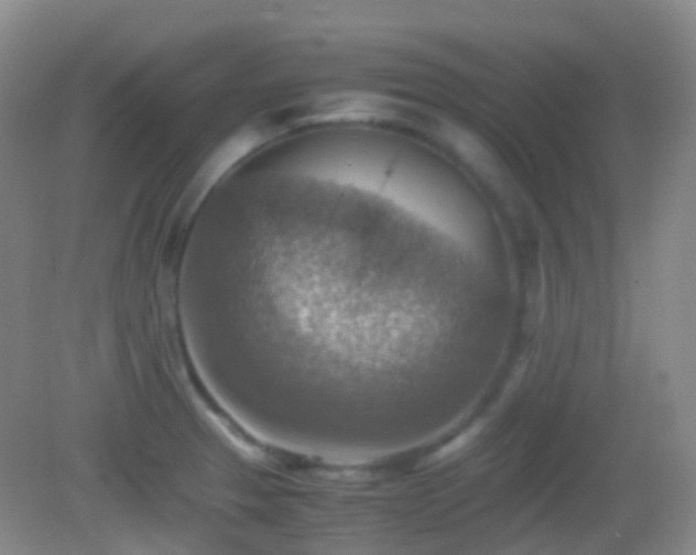 X0000082991329200702011419