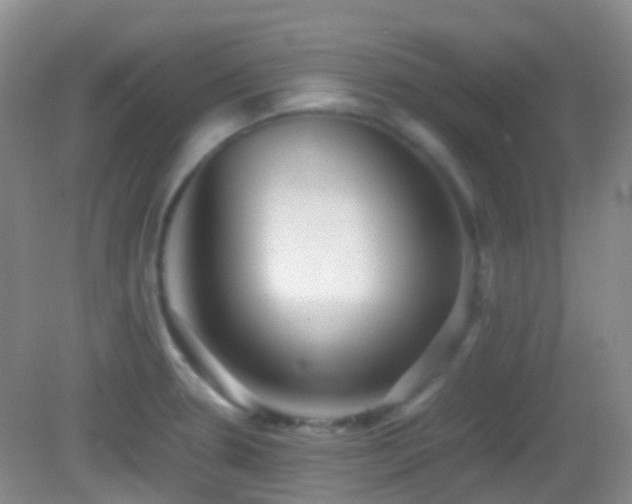 X0000082991330200702011419