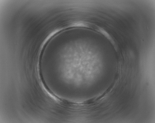 X0000082991331200702011419