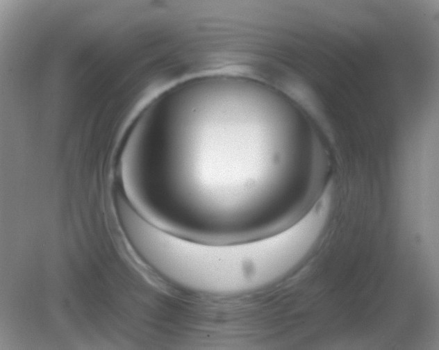 X0000082991332200702011419