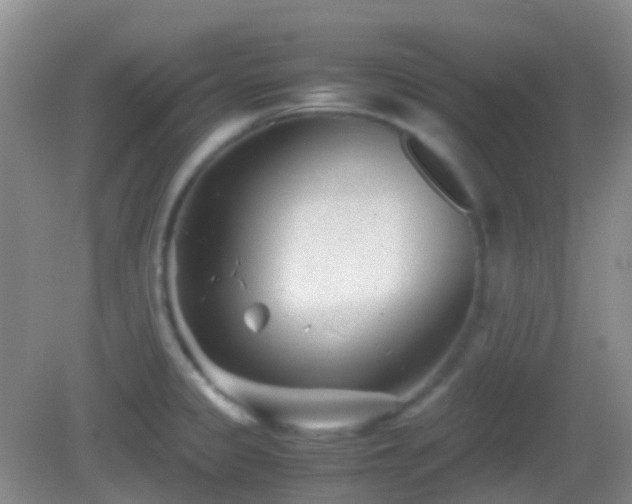 X0000082991333200702011419