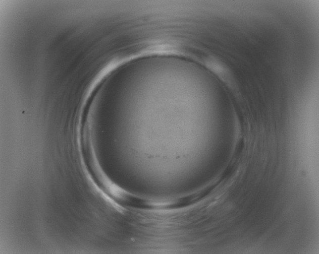 X0000082991334200702011419