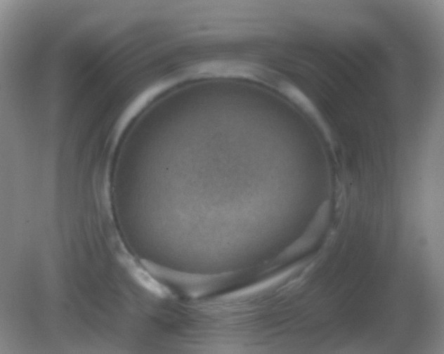 X0000082991336200702011419