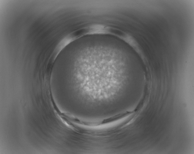 X0000082991337200702011419