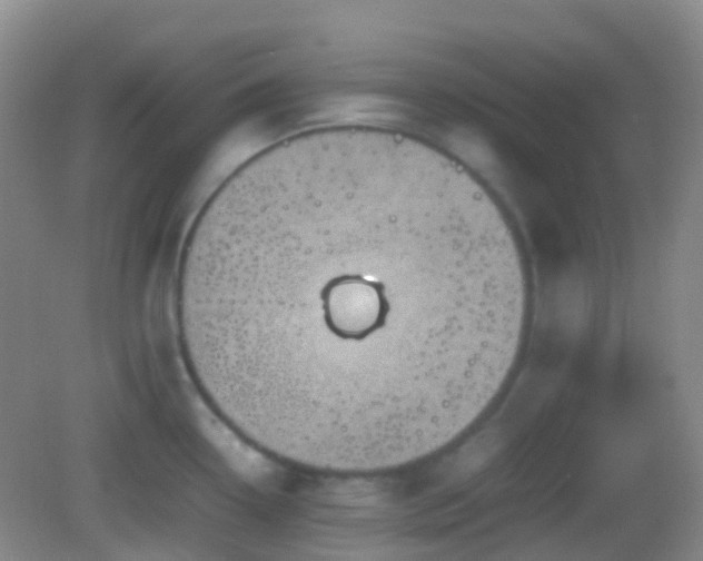 X0000082991338200702011419