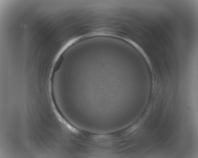 X0000082991341200702011419