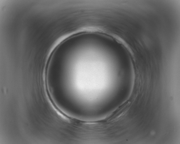 X0000082991343200702011419