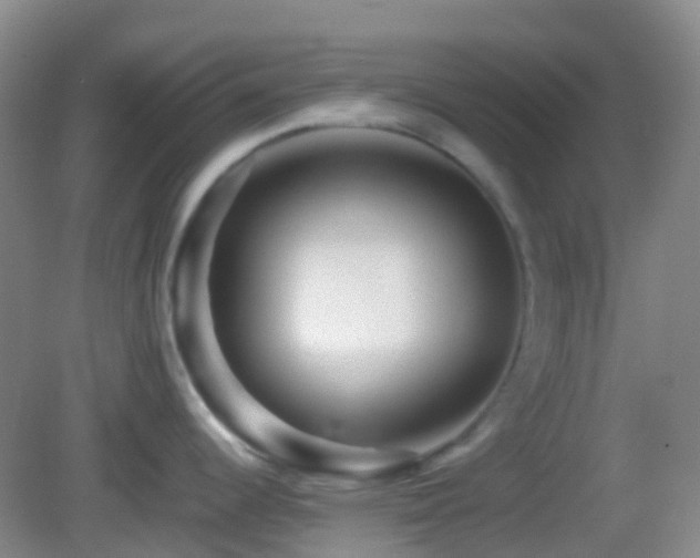 X0000082991344200702011419