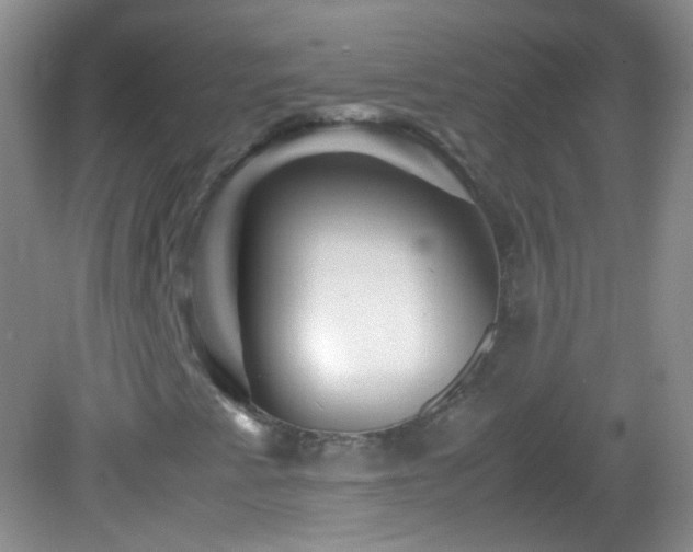 X0000082991345200702011418