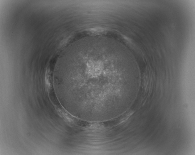 X0000082991346200702011418