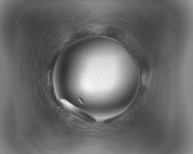 X0000082991347200702011418