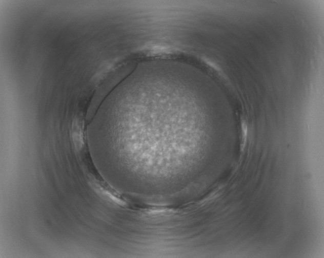 X0000082991348200702011418