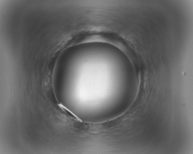 X0000082991349200702011418