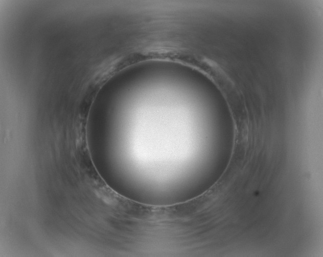 X0000082991350200702011418