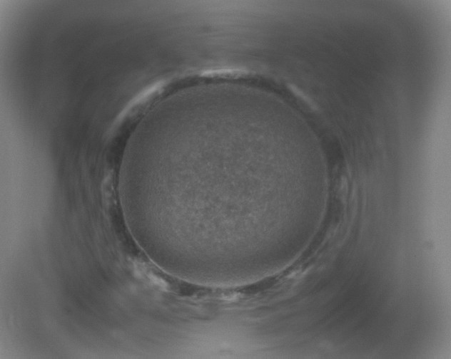 X0000082991351200702011418