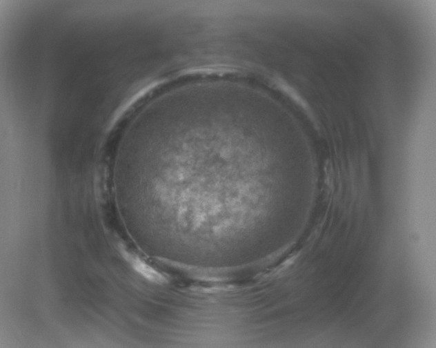 X0000082991352200702011418