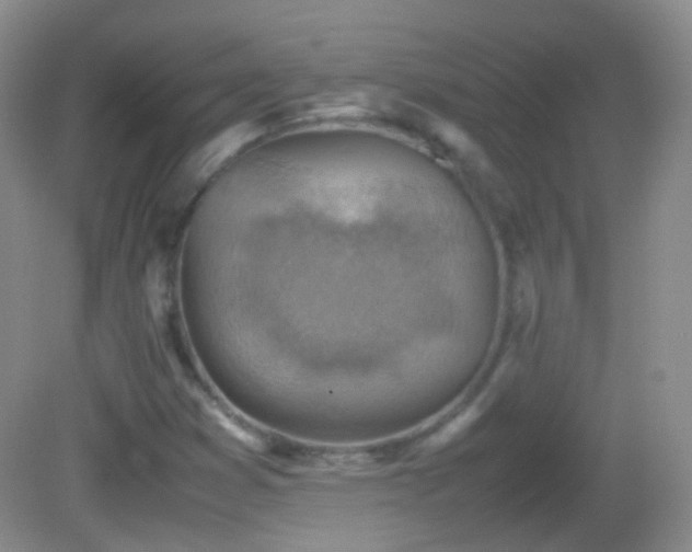 X0000082991353200702011418