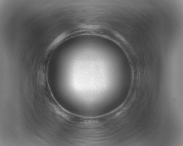 X0000082991354200702011418