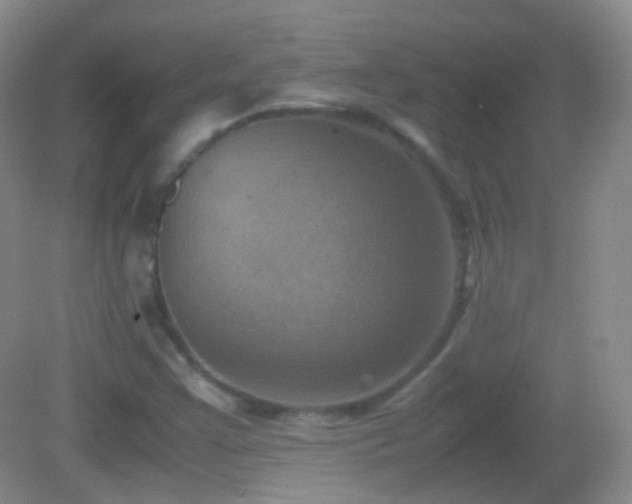 X0000082991355200702011418