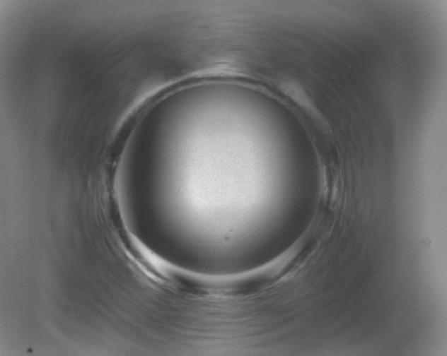 X0000082991356200702011418