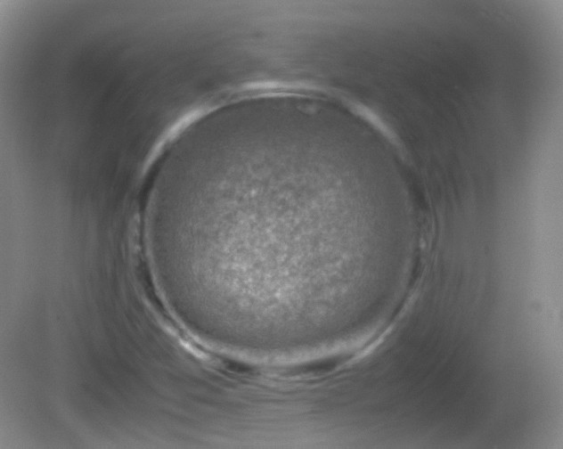 X0000082991357200702011418