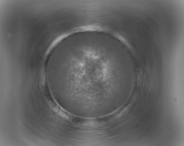 X0000082991358200702011418