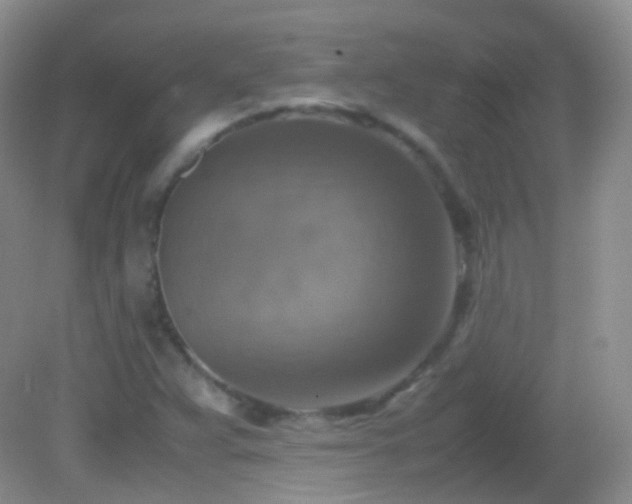 X0000082991359200702011418