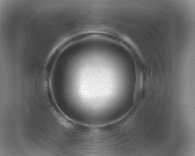 X0000082991360200702011418