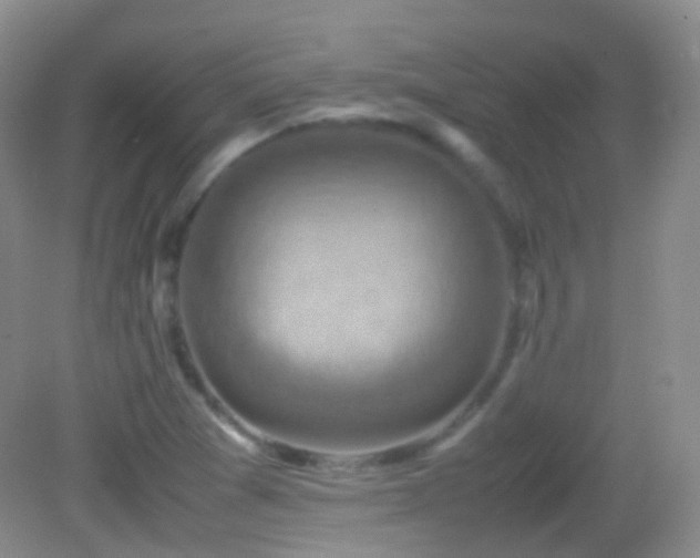 X0000082991361200702011418