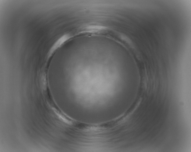 X0000082991362200702011418