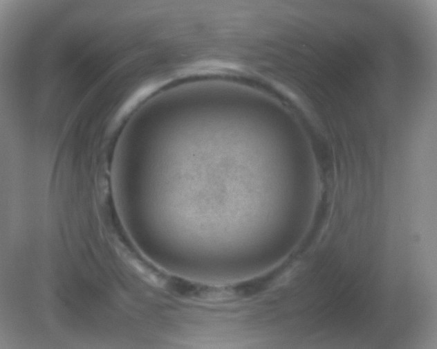 X0000082991363200702011418