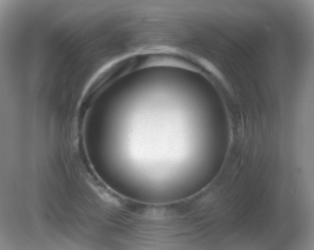 X0000082991364200702011418